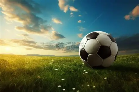 开云·体育 (APP下载) 官网_KAIYUN SPORT